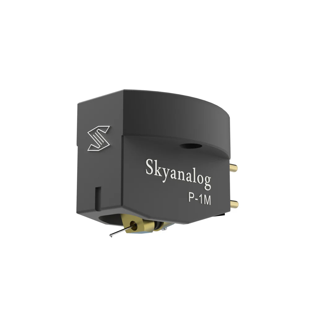 P-1M.0-1024x772_2048x2048_41931d14-cb0d-4c19-ab8b-19af580b835e